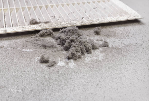 Best Professional Duct Cleaning Services  in South Hill, VA