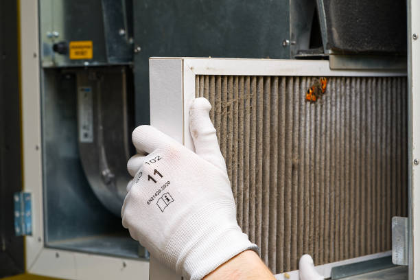 Best Residential Air Duct Cleaning  in South Hill, VA