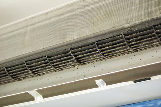 Best Air Duct Cleaning Near Me  in South Hill, VA